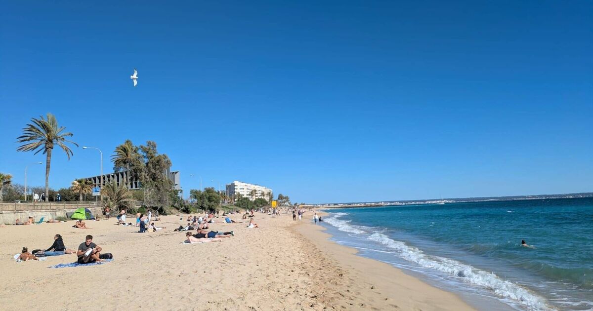 Holiday Island prend des mesures drastiques pour empêcher les touristes d'expulser les habitants