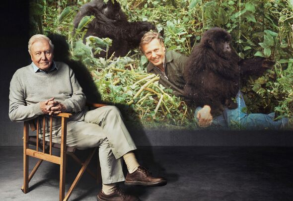 Sir David Attenborough à côté d'une photo de lui avec des gorilles de montagne