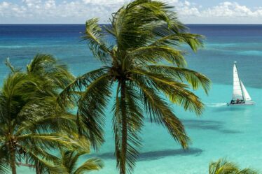 Embarquez pour le voyage de votre vie avec les nouveaux voyages d'Imagine Cruising