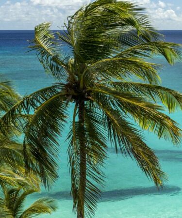 Embarquez pour le voyage de votre vie avec les nouveaux voyages d'Imagine Cruising