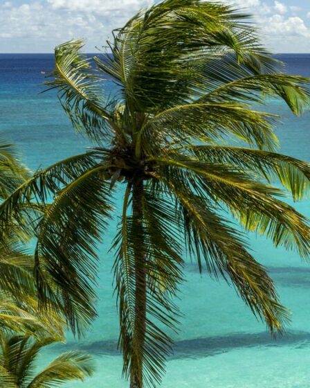 Embarquez pour le voyage de votre vie avec les nouveaux voyages d'Imagine Cruising