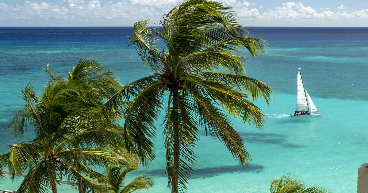Embarquez pour le voyage de votre vie avec les nouveaux voyages d'Imagine Cruising