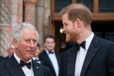 Famille royale EN DIRECT : Palace craint un "danger" si Charles retrouvait Harry