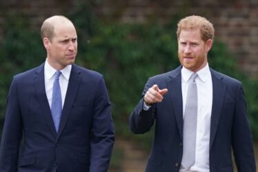 Famille royale EN DIRECT : le prince William "ne fait pas pression pour des retrouvailles" avec Harry - "intolérable"