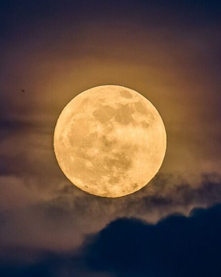 Flower Moon 2026 : 5 choses à savoir sur la « micromoon » pour s'élever au-dessus du Royaume-Uni