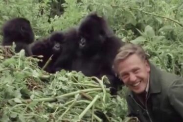 "J'ai passé une journée folle avec Sir David Attenborough que je n'oublierai jamais"