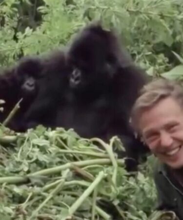 "J'ai passé une journée folle avec Sir David Attenborough que je n'oublierai jamais"