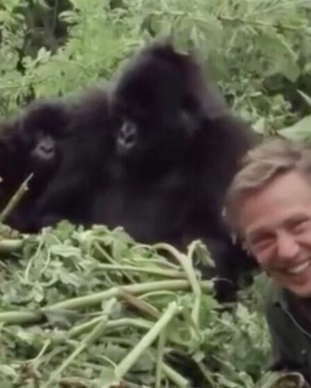 "J'ai passé une journée folle avec Sir David Attenborough que je n'oublierai jamais"