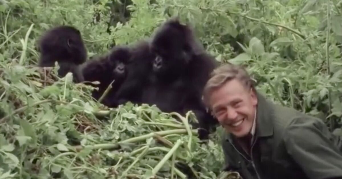 "J'ai passé une journée folle avec Sir David Attenborough que je n'oublierai jamais"