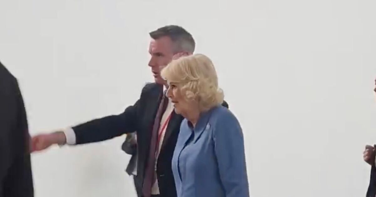 La reine Camilla étourdit les spectateurs alors qu'elle se promène seule dans l'aéroport