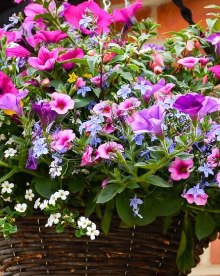 La seule expérience de jardinage qui peut sérieusement améliorer l'attrait extérieur de votre maison
