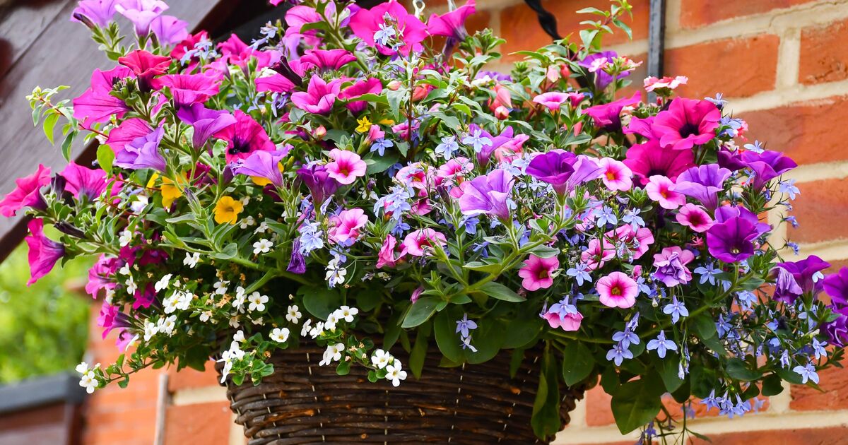 La seule expérience de jardinage qui peut sérieusement améliorer l'attrait extérieur de votre maison