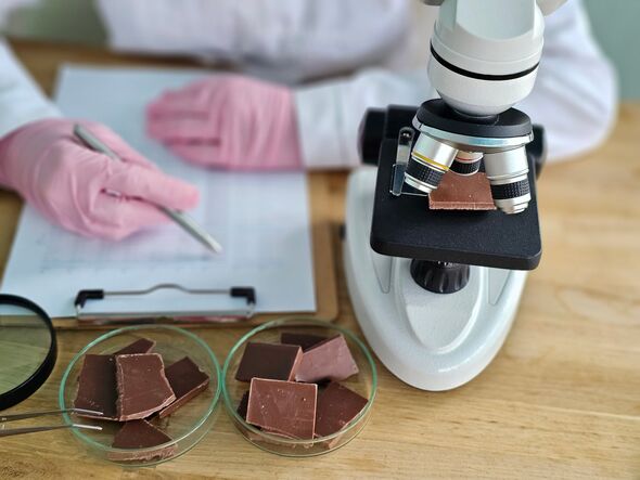 Un scientifique examine le chocolat au microscope