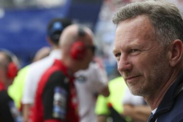 L’équipe Alpine F1 s’apprête à changer de nom dans le cadre de l’offre de copropriété de Christian Horner