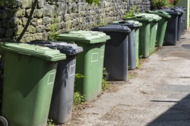 Les 10 objets interdits dans les poubelles de jardin selon les nouvelles règles anglaises concernant les déchets – liste complète