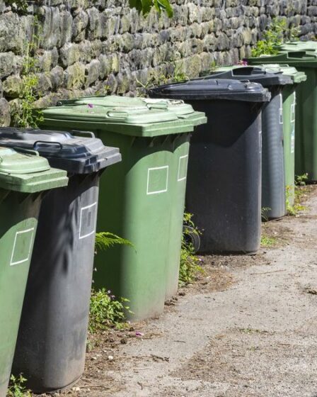 Les 10 objets interdits dans les poubelles de jardin selon les nouvelles règles anglaises concernant les déchets – liste complète