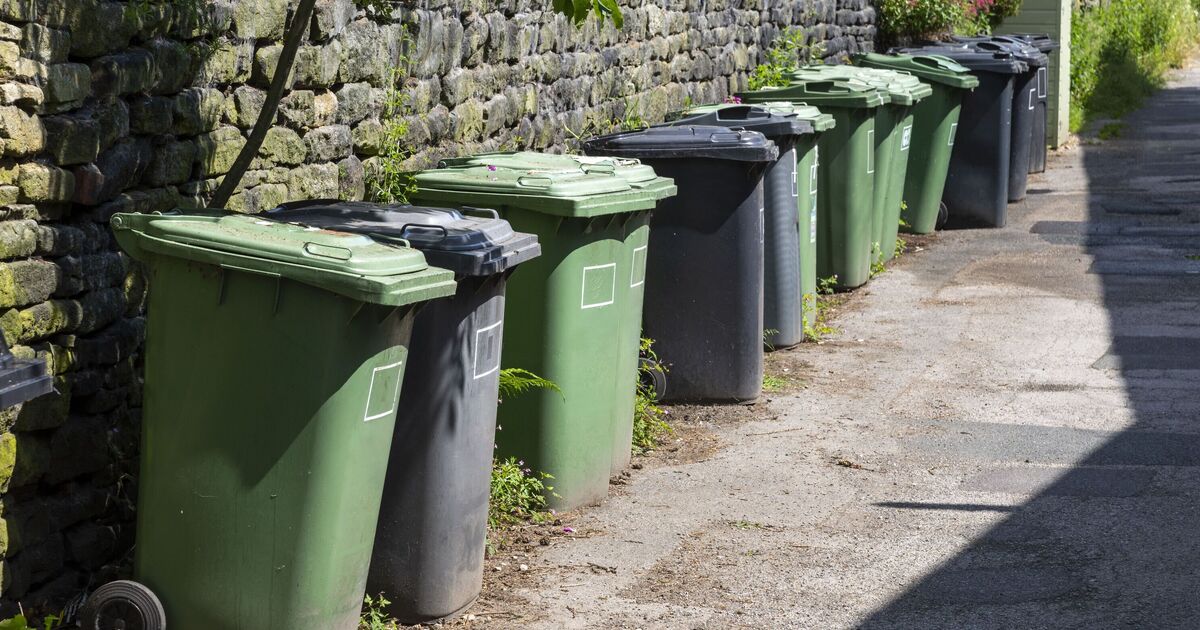 Les 10 objets interdits dans les poubelles de jardin selon les nouvelles règles anglaises concernant les déchets – liste complète