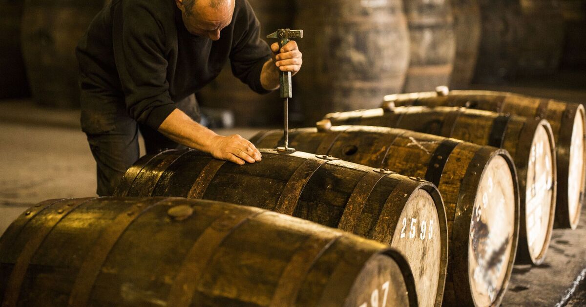 Une entreprise britannique de whisky se lance dans l'administration – en activité depuis 2018