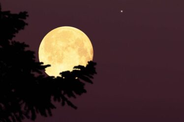 Une rare « lune bleue » apparaît ce soir, mais vous pourriez être déçu