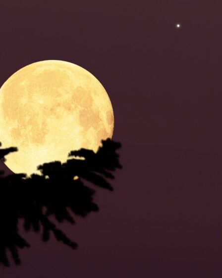 Une rare « lune bleue » apparaît ce soir, mais vous pourriez être déçu