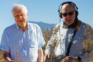 J'ai sauvé David Attenborough de la solitude au pôle Nord – « vous ne pouvez pas le quitter »