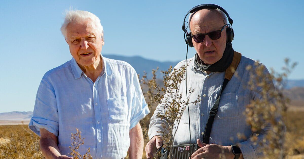 J'ai sauvé David Attenborough de la solitude au pôle Nord – « vous ne pouvez pas le quitter »