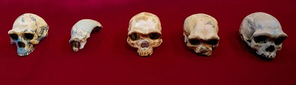 SCIENCE-ÉVOLUTION-HUMAINE-CHINE