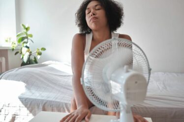 Rafraîchissez votre maison pendant une canicule de 38 °C en utilisant un article de jardin courant