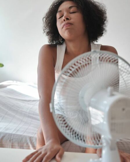 Rafraîchissez votre maison pendant une canicule de 38 °C en utilisant un article de jardin courant
