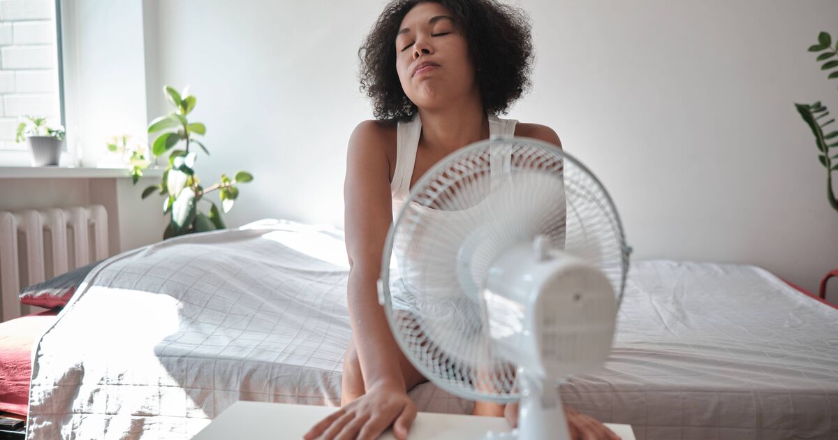 Rafraîchissez votre maison pendant une canicule de 38 °C en utilisant un article de jardin courant