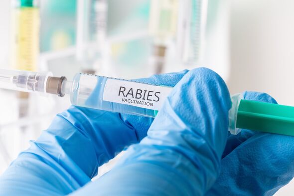 vaccination contre la rage