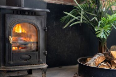 Appel à l’interdiction des poêles à bois et des foyers à bois dans les maisons