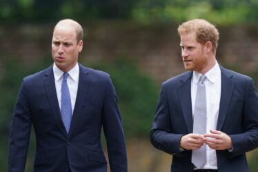 Famille royale EN DIRECT : le prince Harry « ne peut pas appeler » le prince William pour une raison