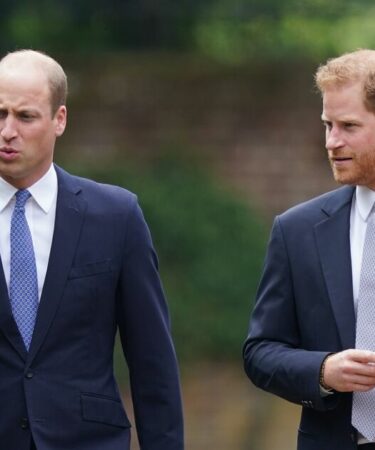 Famille royale EN DIRECT : le prince Harry « ne peut pas appeler » le prince William pour une raison
