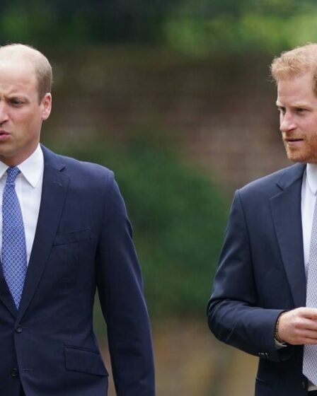 Famille royale EN DIRECT : le prince Harry « ne peut pas appeler » le prince William pour une raison