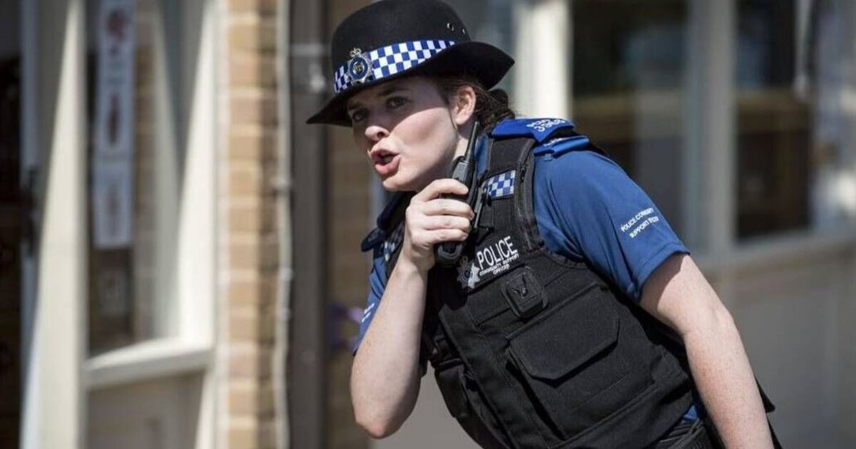 « La meilleure émission policière de tous les temps », tout comme Broadchurch est la frénésie parfaite