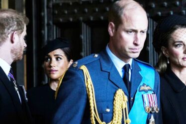 La réaction explosive du prince William au retour de Harry et Meghan au Royaume-Uni « révélée »