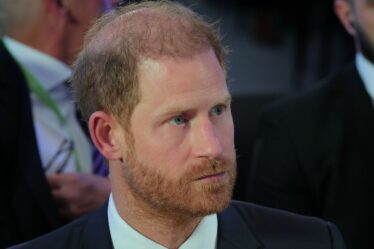 La vraie raison pour laquelle le prince Harry « n’a pas été invité » à assister à la Coupe du monde