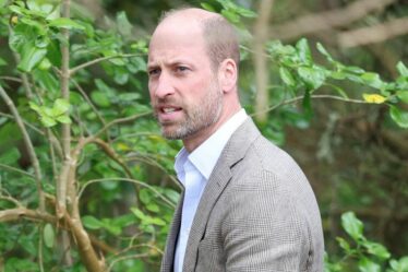 La « vraie » raison pour laquelle le prince William a refusé de rencontrer le prince Harry lors de son voyage au Royaume-Uni