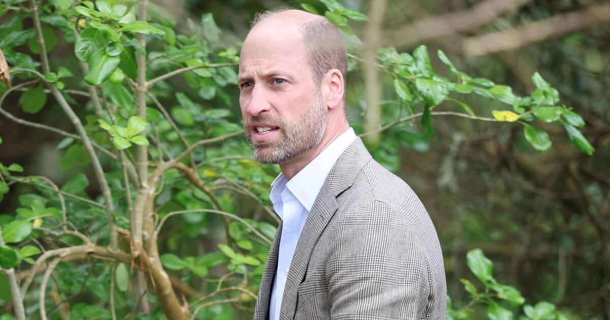 La « vraie » raison pour laquelle le prince William a refusé de rencontrer le prince Harry lors de son voyage au Royaume-Uni