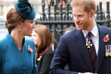 Royal Family LIVE : la remarque de Harry en 9 mots qui a "poussé Kate jusqu'au point de rupture"