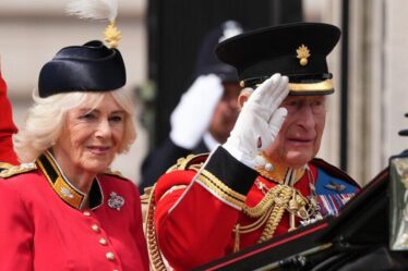 Trooping the Color LIVE : le roi Charles mène le défilé d'anniversaire au milieu du drame de la famille royale