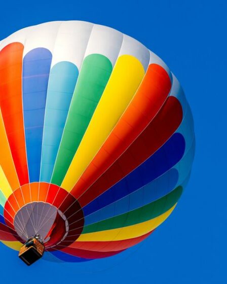 Un homme tombe à mort à cause d'une montgolfière et atterrit dans un jardin