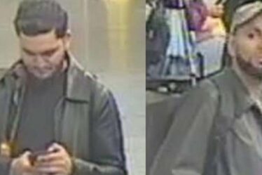 Une femme « agressée sexuellement dans un train très fréquenté de la ligne Elizabeth par des musiciens ambulants »