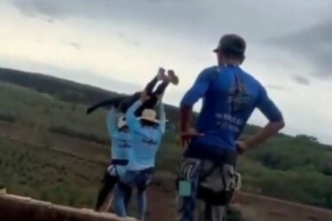 Une femme jetée à mort du pont alors que le personnel du saut à l'élastique « oublie » d'attacher la corde