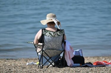 Une simple habitude quotidienne de s'exposer au soleil pourrait réduire le risque de démence jusqu'à 40 %, selon une étude majeure