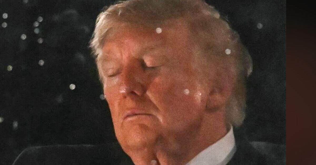 Donald Trump s'endort pendant les feux d'artifice du 4 juillet alors que les craintes pour sa santé montent en flèche