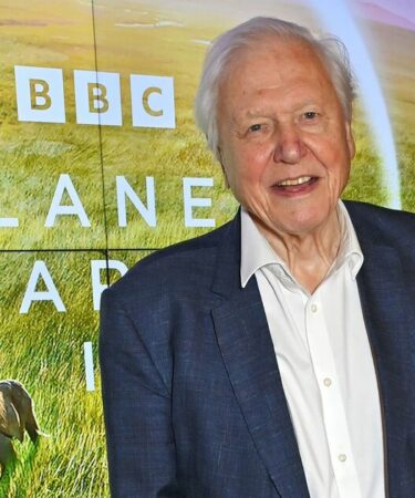 Le plaidoyer sincère de David Attenborough pour un « avenir prospère » avant le « bord du désastre »