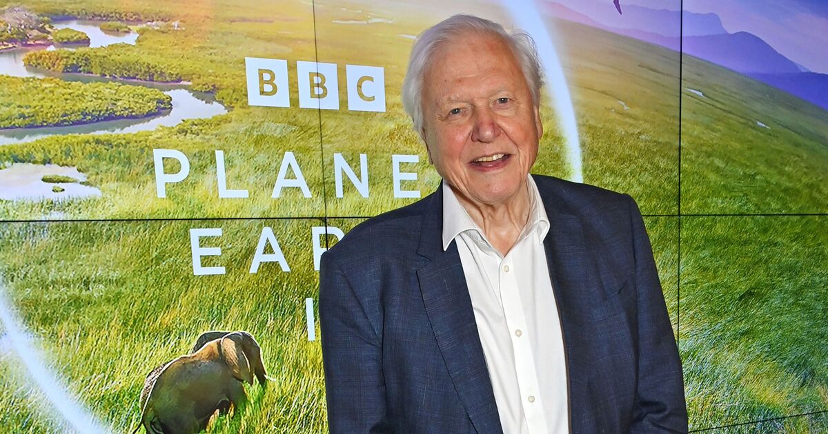 Le plaidoyer sincère de David Attenborough pour un « avenir prospère » avant le « bord du désastre »