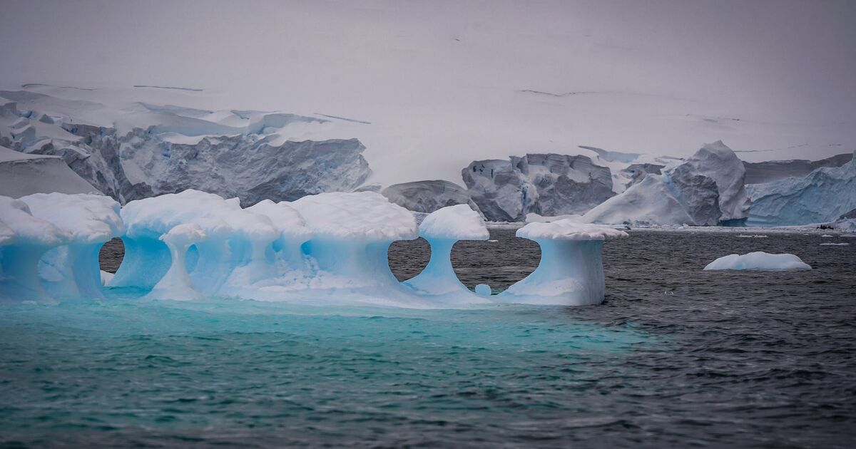 Des nanoplastiques pouvant pénétrer dans le sang humain sont désormais découverts jusqu'en Antarctique